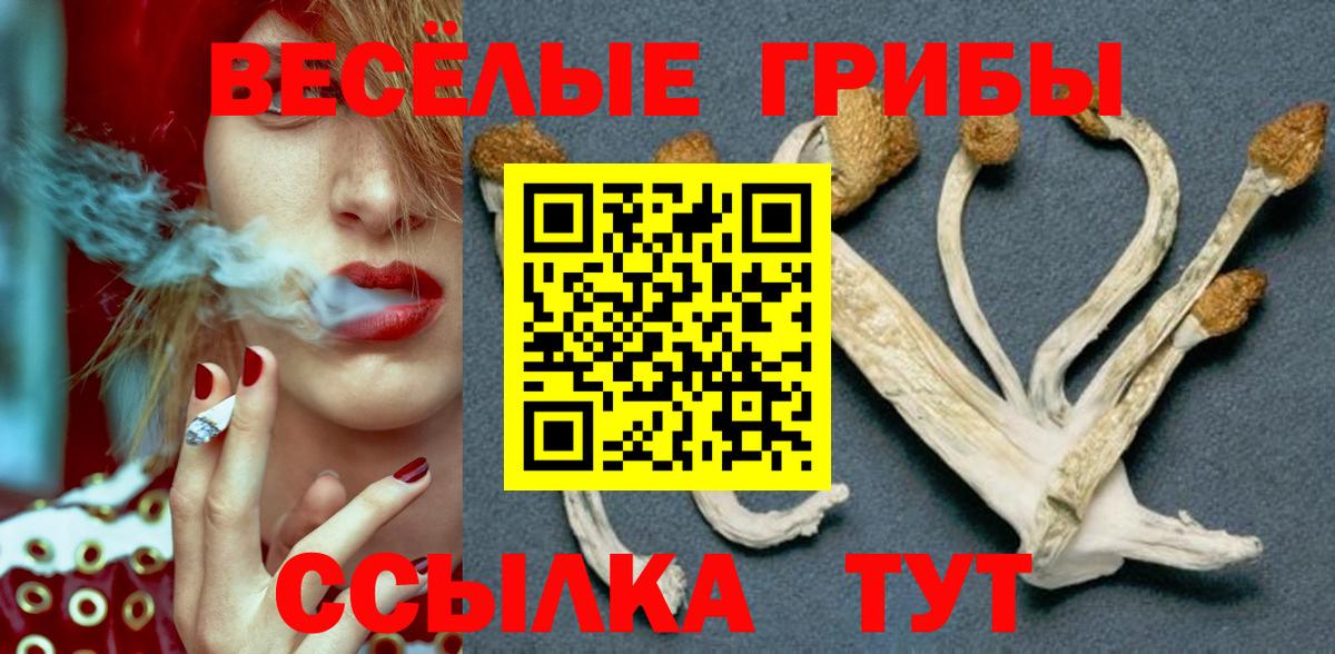 Псилоцибиновые грибы MAGIC MUSHROOMS  Вход с VPN  Владимир  Галлюциногенные грибы MAGIC MUSHROOMS 