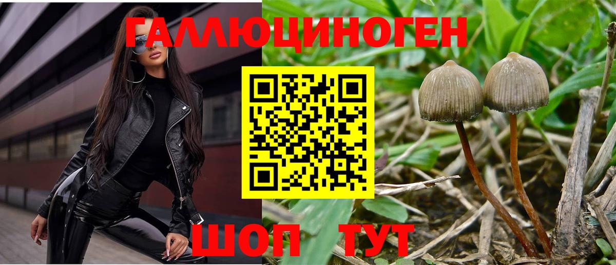 Галлюциногенные грибы мухоморы Владимир